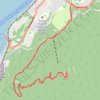 2025-06-11_11-26_Wed trail, distance, elevation, map, profile, GPS track