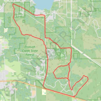Etoniah Creek State Forest Loop trail, distance, elevation, map, profile, GPS track