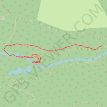 Forest path near Shimna River trail, distance, elevation, map, profile, GPS track