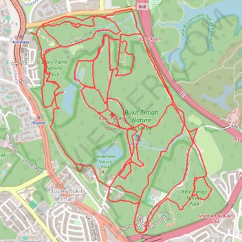 Bukit Timah Nature Reserve trail, distance, elevation, map, profile, GPS track